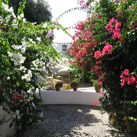 Hotel Punta Rossa San Felice Circeo Esterno foto