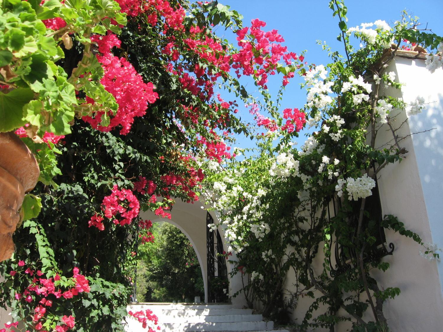 Hotel Punta Rossa San Felice Circeo Esterno foto