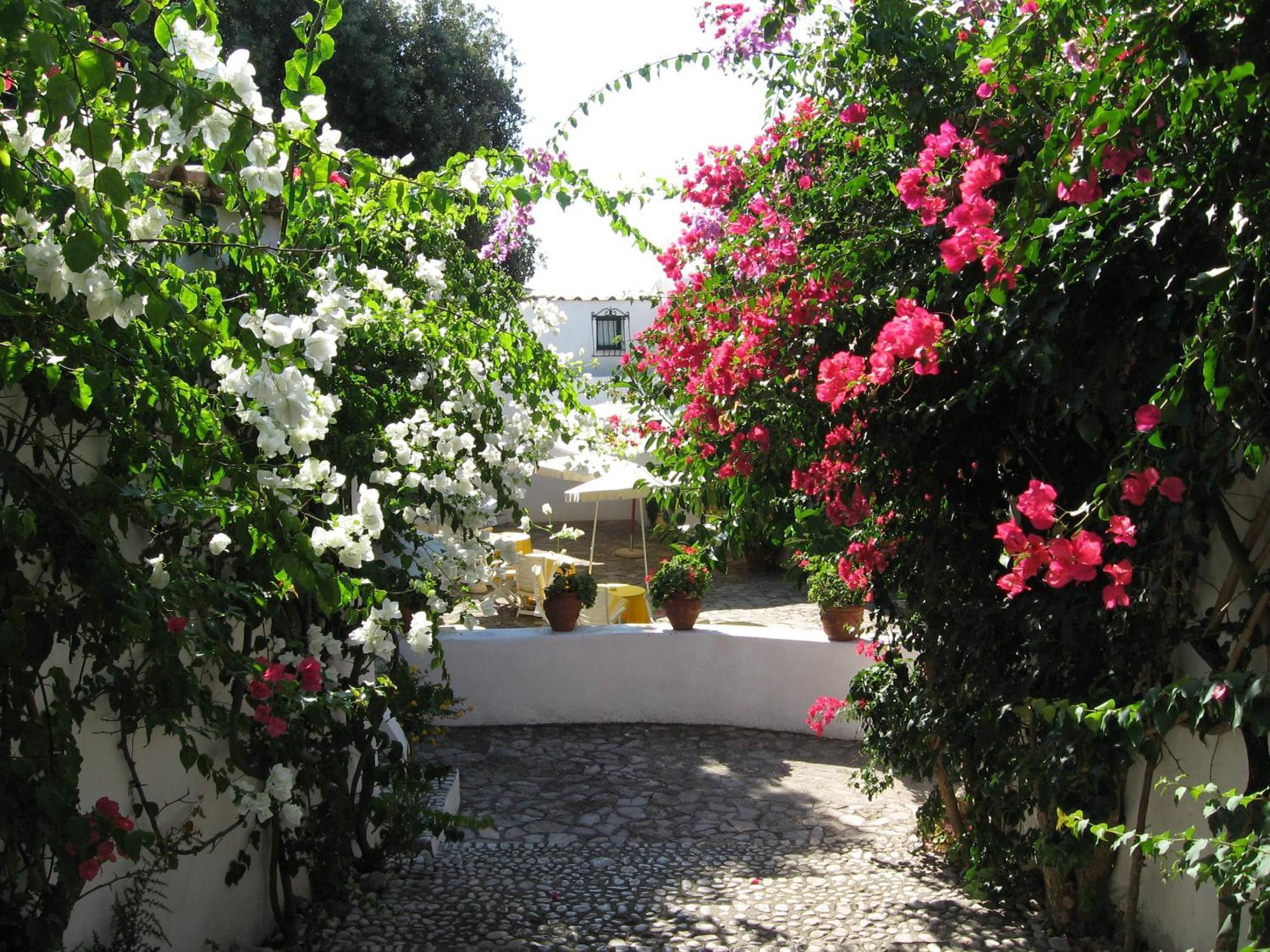 Hotel Punta Rossa San Felice Circeo Esterno foto